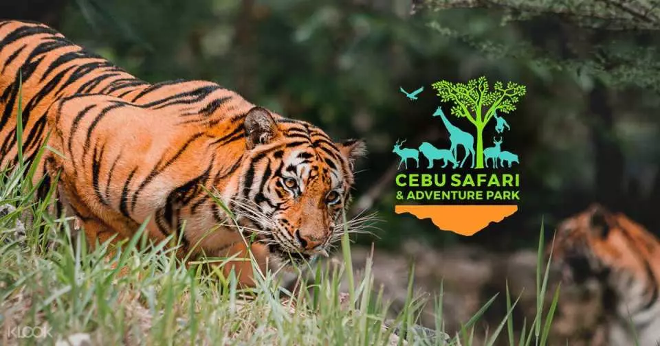 Cebu Safari and Adventure Park