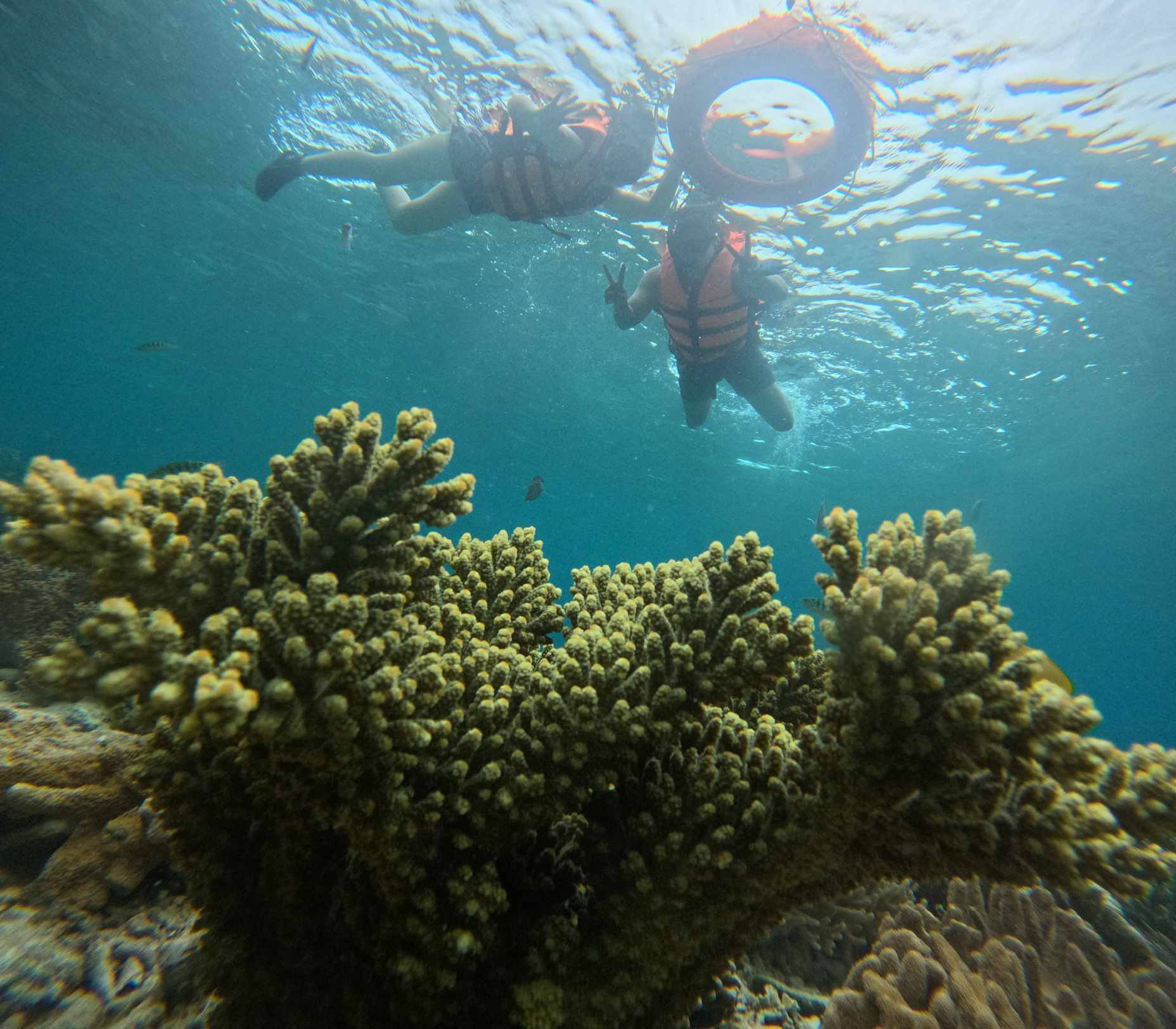 Coastal Cebu scenery along tour routes